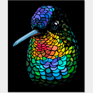 Hummingbird Colors Posters and Art